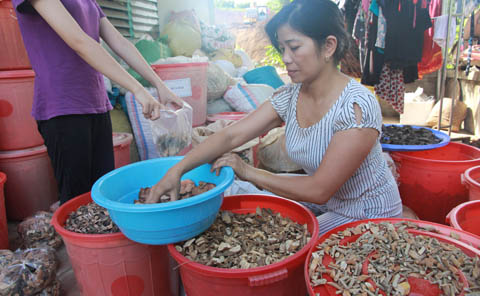 Hoang-Tuyet-Mint-soi-than_4_1