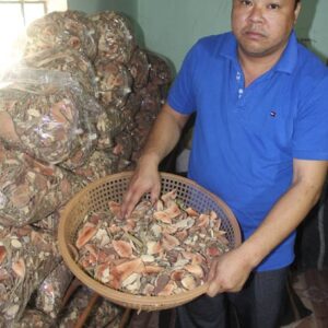 Thuốc Tiêu U Lành