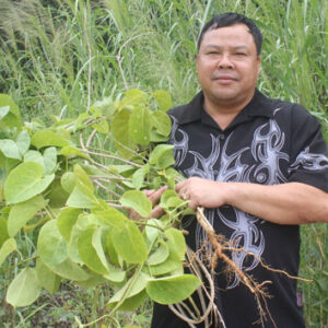 Thuốc Tiêu U Mỡ - U Xơ Tử Cung - U Nang Buồng Trứng