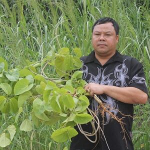 Thuốc Xương Khớp