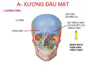 Biến chứng ở xương